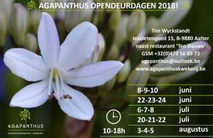 Agapanthus opendeurdagen 2018